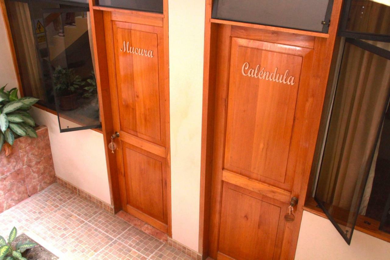 Zygo Bed & Breakfast Tarapoto Extérieur photo
